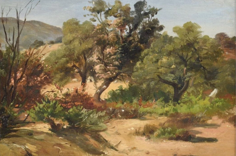 Pierre Olivier Joseph Coomans - Paesaggio in Algeria